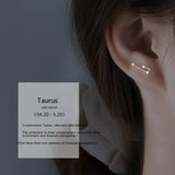 S925 Sterling Silver Constellation Stud Earrings – Gifts for Her — 10