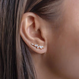 Micro Inlaid Zircon Olive Branch Leaves Ear Studs – Gifts for Her — 1