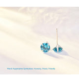 Silver S925 Sterling Silver Classic Four-claw Stud – Birthday Gifts — 6