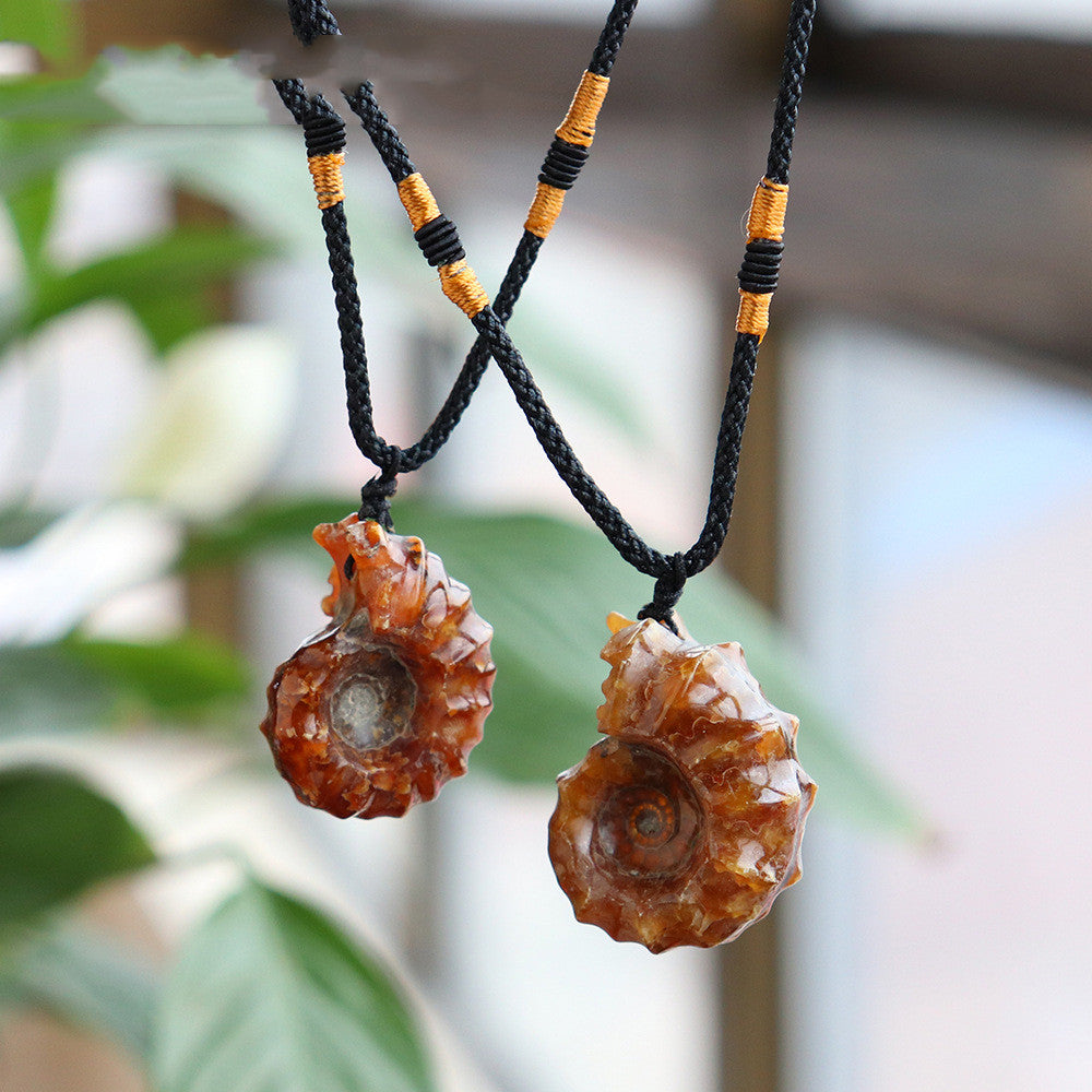 Natural Ram's Horn Conch Fossil Pendant Specimen – Jewelry Gift Ideas — 1