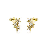 S925 Sterling Silver Special-interest Design Stud – Meaningful Gifts — 4