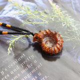 Natural Ram's Horn Conch Fossil Pendant Specimen – Jewelry Gift Ideas — 3